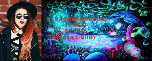 сатива Алексеевка