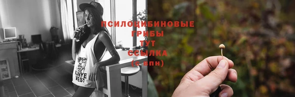 сатива Алексеевка