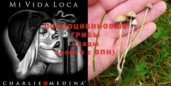 прущая мука Алзамай
